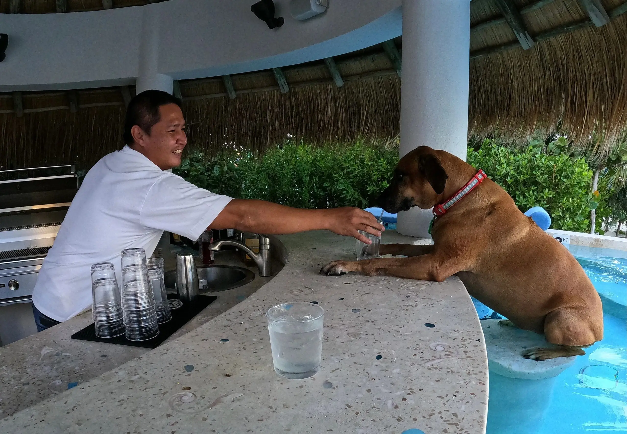 Naya enjoying a vodka tonic at the swim-up bar (only kidding — there’s no tonic)