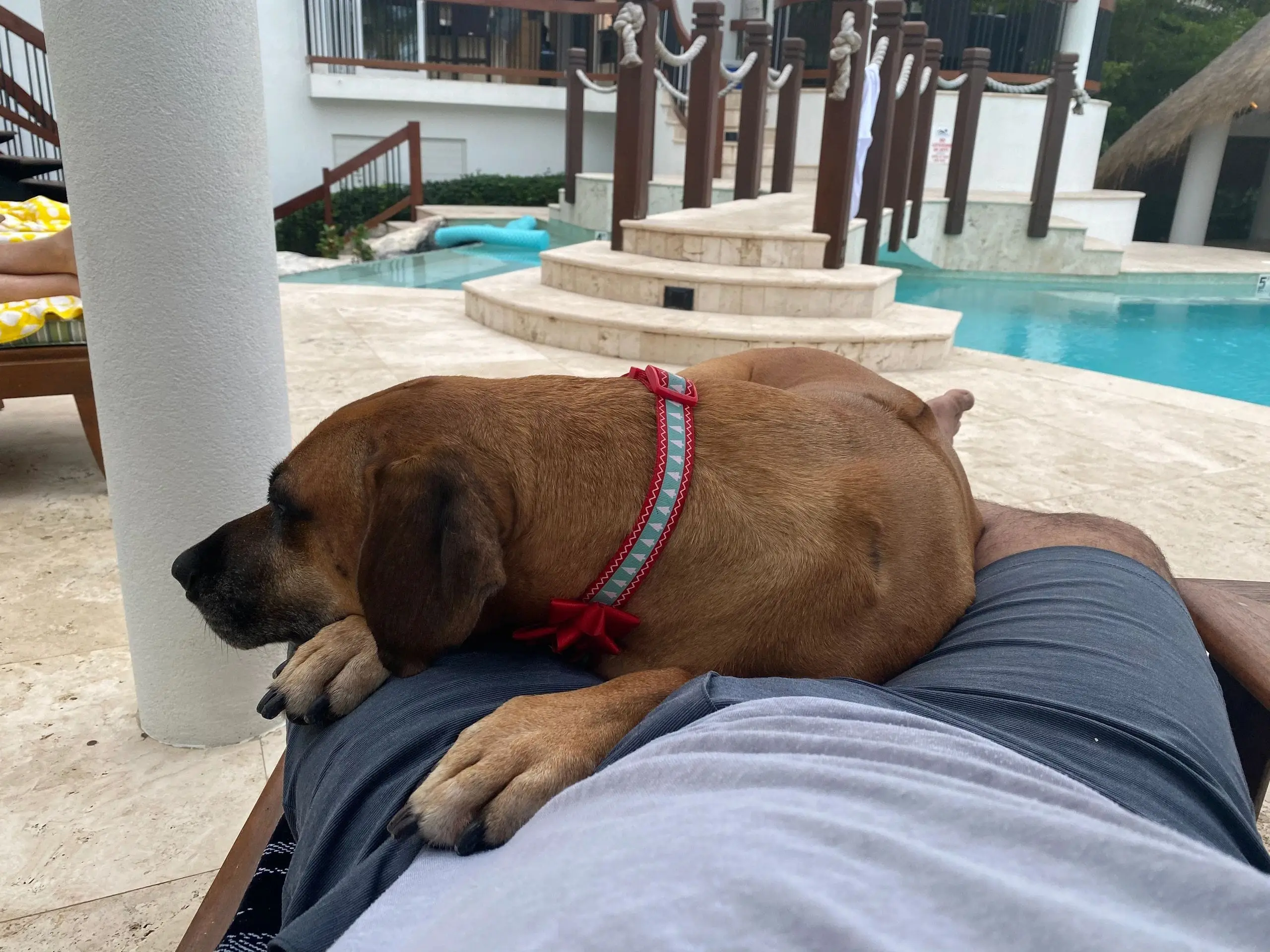 Naya is clearly a daddy’s girl